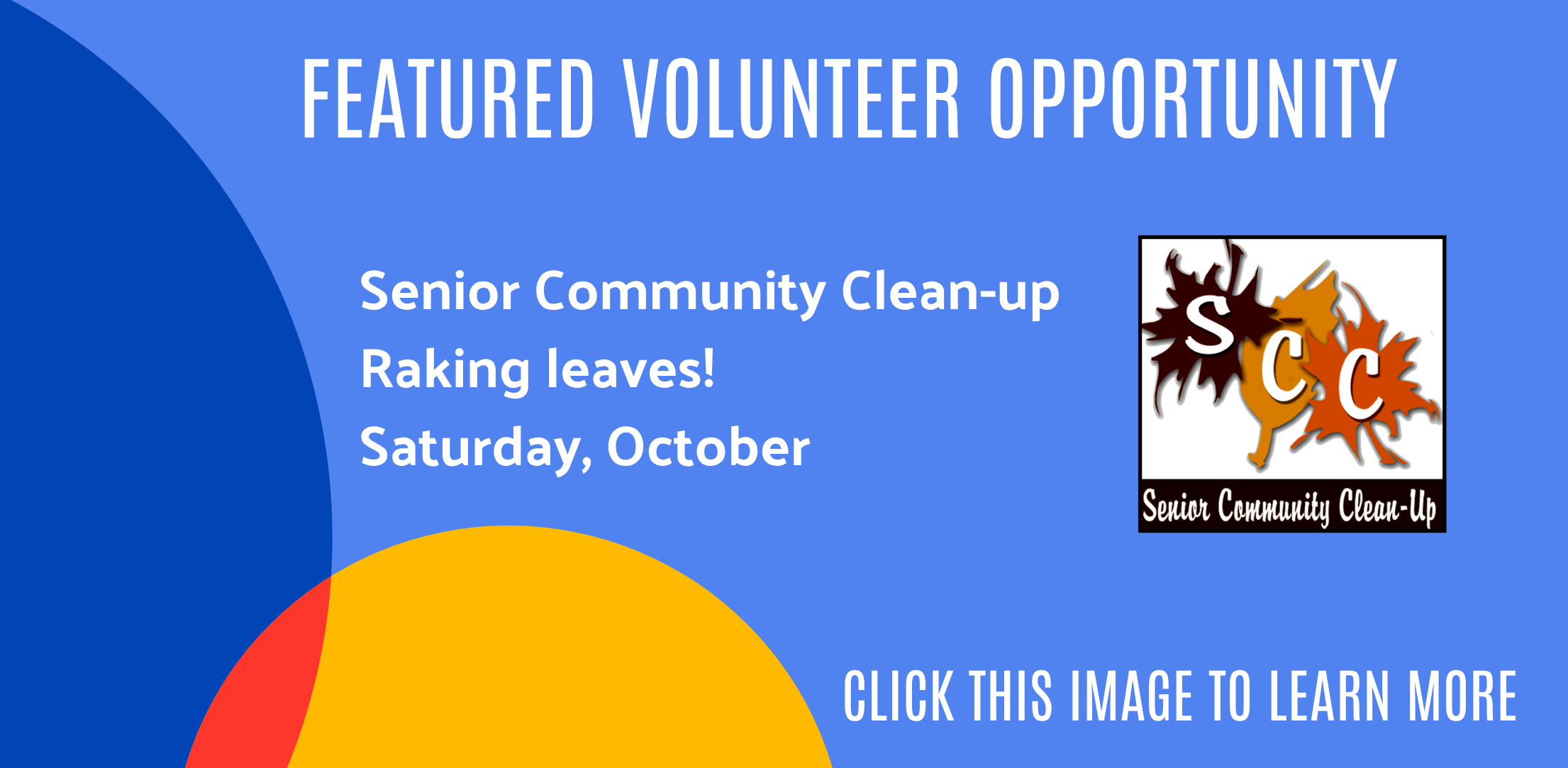senior-cleanup