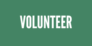 volunteer-clearwater