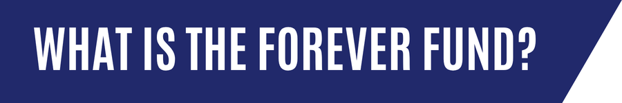 forever-fund