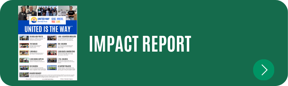 impact-report